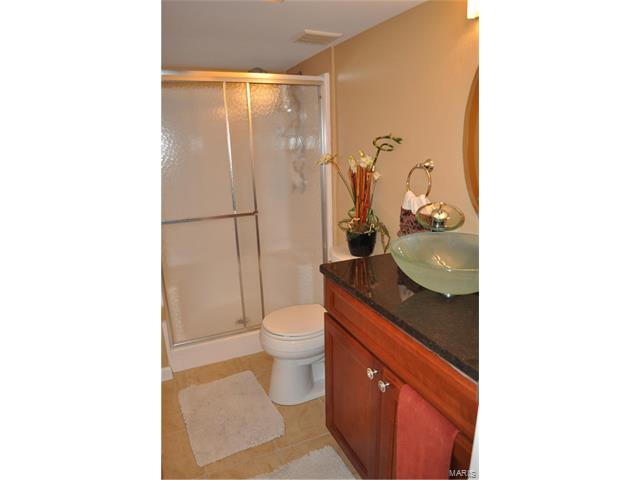 219 Windy Acres Estates Dr, Ballwin, MO 63021 photo 10