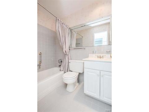 247 White Tree Ln, Ballwin, MO 63011 photo 22
