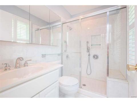 247 White Tree Ln, Ballwin, MO 63011 photo 19