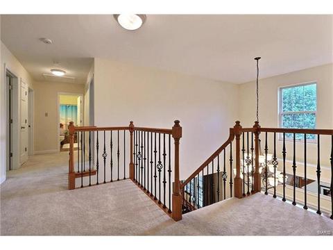 815 Shady Castle Ct, Ballwin, MO 63021 photo 18