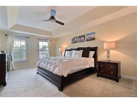 815 Shady Castle Ct, Ballwin, MO 63021 photo 19
