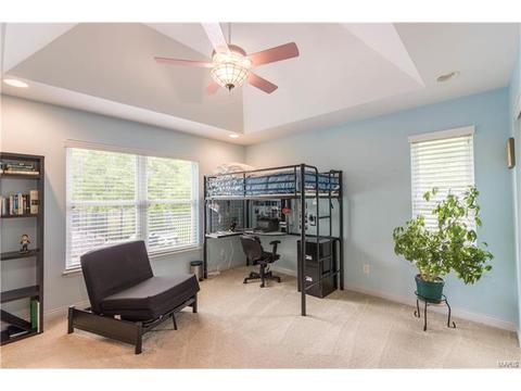 3 Redwing Ct, O'fallon, MO 63366 photo 27