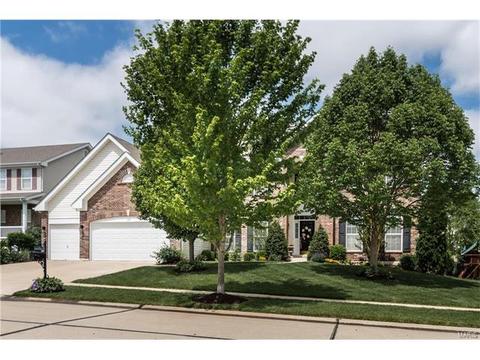 233 Irish Hound Dr, O'fallon, MO 63368 photo 24