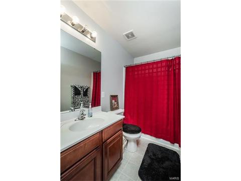 233 Irish Hound Dr, O'fallon, MO 63368 photo 20