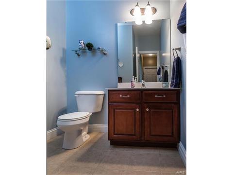 233 Irish Hound Dr, O'fallon, MO 63368 photo 11