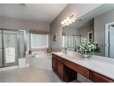 233 Irish Hound Dr, O'fallon, MO 63368 photo 14