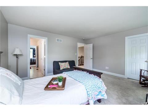 233 Irish Hound Dr, O'fallon, MO 63368 photo 17