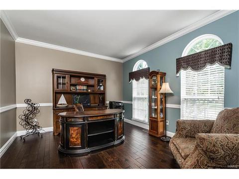 233 Irish Hound Dr, O'fallon, MO 63368 photo 9