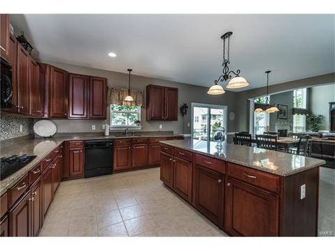 233 Irish Hound Dr, O'fallon, MO 63368 photo 3