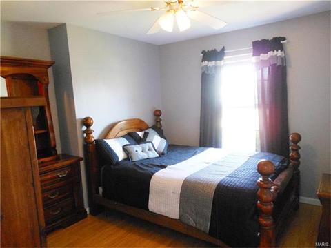3 Annbriar Ct, O'fallon, MO 63366 photo 54