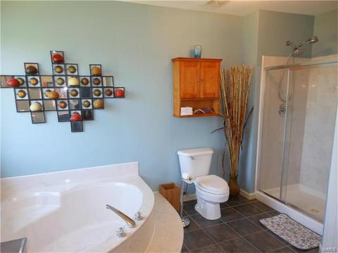 3 Annbriar Ct, O'fallon, MO 63366 photo 26