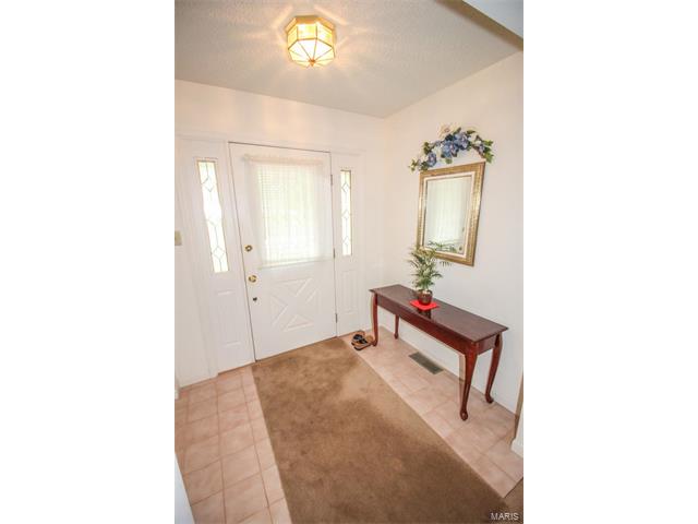 809 Colleen, O'fallon, MO 63366 photo 24