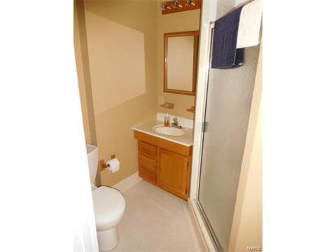 121 Lock, Ballwin, MO 63011 photo 13