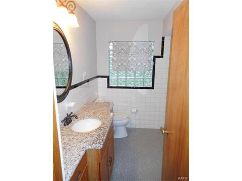121 Lock, Ballwin, MO 63011 photo 11