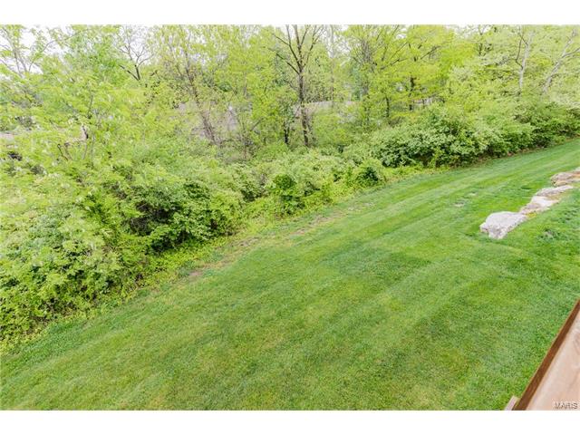 172 Baxter Commons Dr, Ballwin, MO 63011 photo 42