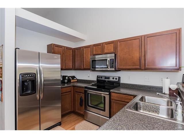 172 Baxter Commons Dr, Ballwin, MO 63011 photo 14