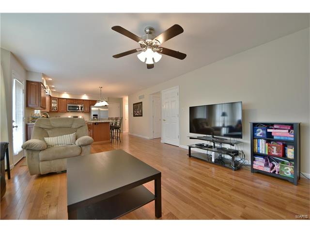 1539 Apple Way Ct, Ballwin, MO 63021 photo 22