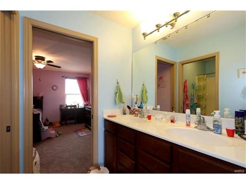 236 Magnolia Trace Dr, Ballwin, MO 63021 photo 28