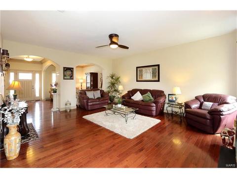 236 Magnolia Trace Dr, Ballwin, MO 63021 photo 8