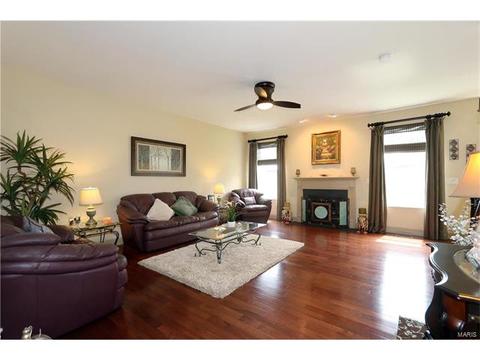 236 Magnolia Trace Dr, Ballwin, MO 63021 photo 9