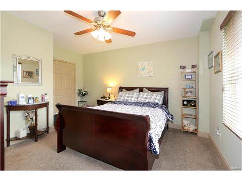 236 Magnolia Trace Dr, Ballwin, MO 63021 photo 34