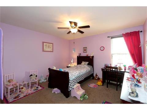 236 Magnolia Trace Dr, Ballwin, MO 63021 photo 29