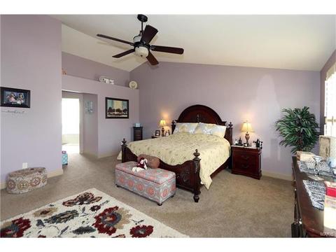236 Magnolia Trace Dr, Ballwin, MO 63021 photo 22