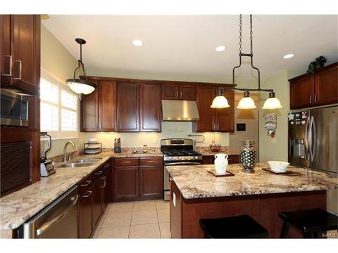 236 Magnolia Trace Dr, Ballwin, MO 63021 photo 16