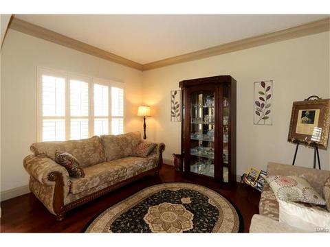 236 Magnolia Trace Dr, Ballwin, MO 63021 photo 6