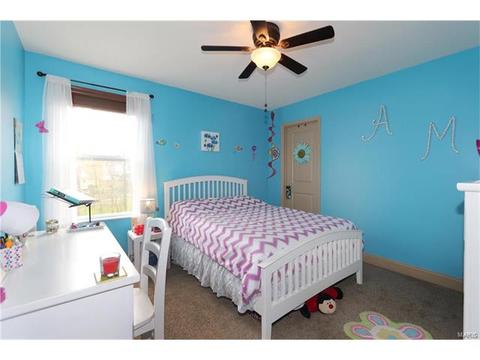 236 Magnolia Trace Dr, Ballwin, MO 63021 photo 25