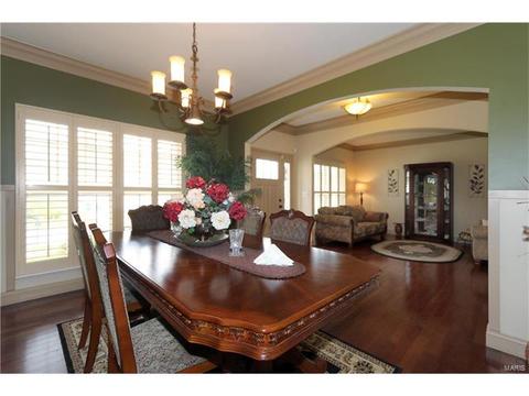 236 Magnolia Trace Dr, Ballwin, MO 63021 photo 3