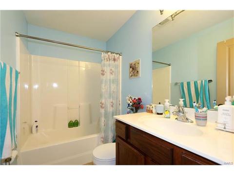 236 Magnolia Trace Dr, Ballwin, MO 63021 photo 26