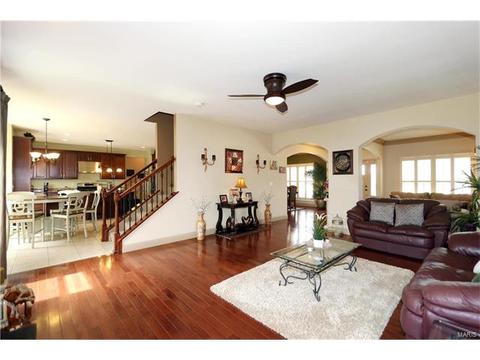 236 Magnolia Trace Dr, Ballwin, MO 63021 photo 10