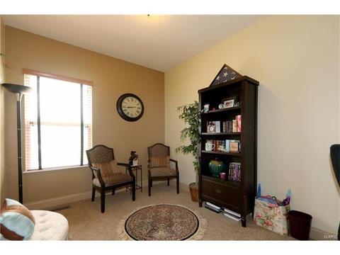 236 Magnolia Trace Dr, Ballwin, MO 63021 photo 7