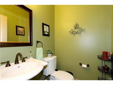 236 Magnolia Trace Dr, Ballwin, MO 63021 photo 19