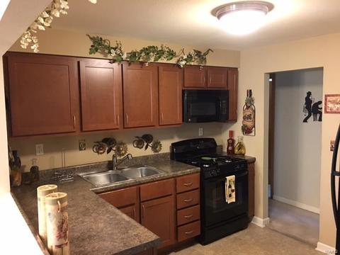 676 Bagnell, Saint Louis, MO 63137 photo 14