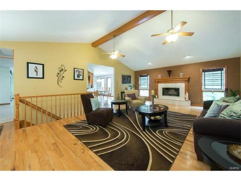 12 New Haven Ct, Weldon Spring, MO 63304 photo 4