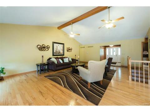 12 New Haven Ct, Weldon Spring, MO 63304 photo 6