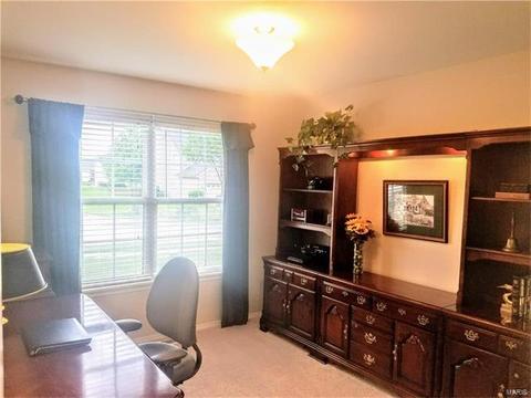 345 Falcon Hill Dr, O'fallon, MO 63368 photo 29
