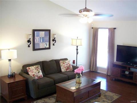 345 Falcon Hill Dr, O'fallon, MO 63368 photo 14
