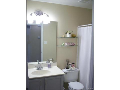 345 Falcon Hill Dr, O'fallon, MO 63368 photo 22
