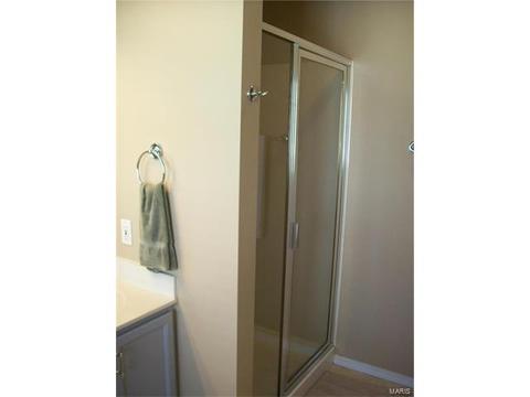 345 Falcon Hill Dr, O'fallon, MO 63368 photo 24