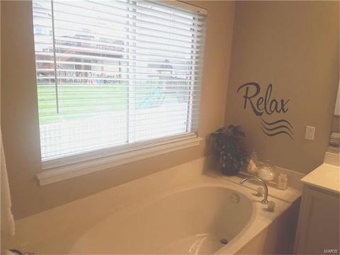 345 Falcon Hill Dr, O'fallon, MO 63368 photo 27