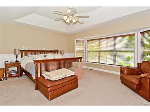 320 Thoreau Blvd, O'fallon, MO 63366 photo 17