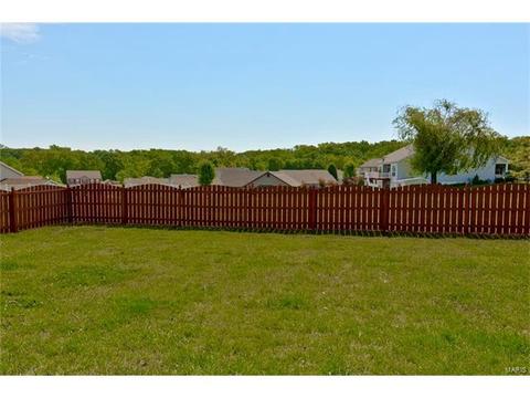 320 Thoreau Blvd, O'fallon, MO 63366 photo 3