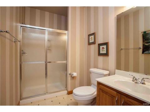 303 Merlin Dr, Weldon Spring, MO 63304 photo 43
