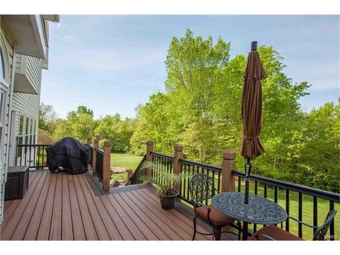 303 Merlin Dr, Weldon Spring, MO 63304 photo 22