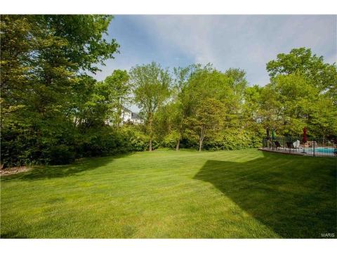 303 Merlin Dr, Weldon Spring, MO 63304 photo 17