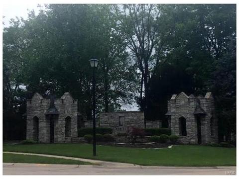 303 Merlin Dr, Weldon Spring, MO 63304 photo 49