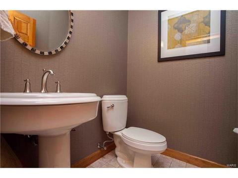 303 Merlin Dr, Weldon Spring, MO 63304 photo 42